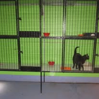 cattery single level pens